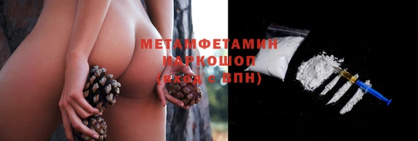 тгк Новодвинск
