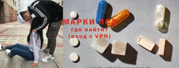 тгк Новодвинск